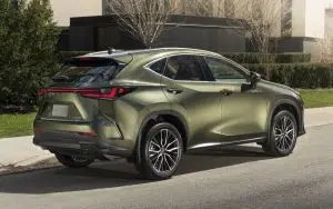 NX 350 avec groupe Exécutif en vert nori nacré