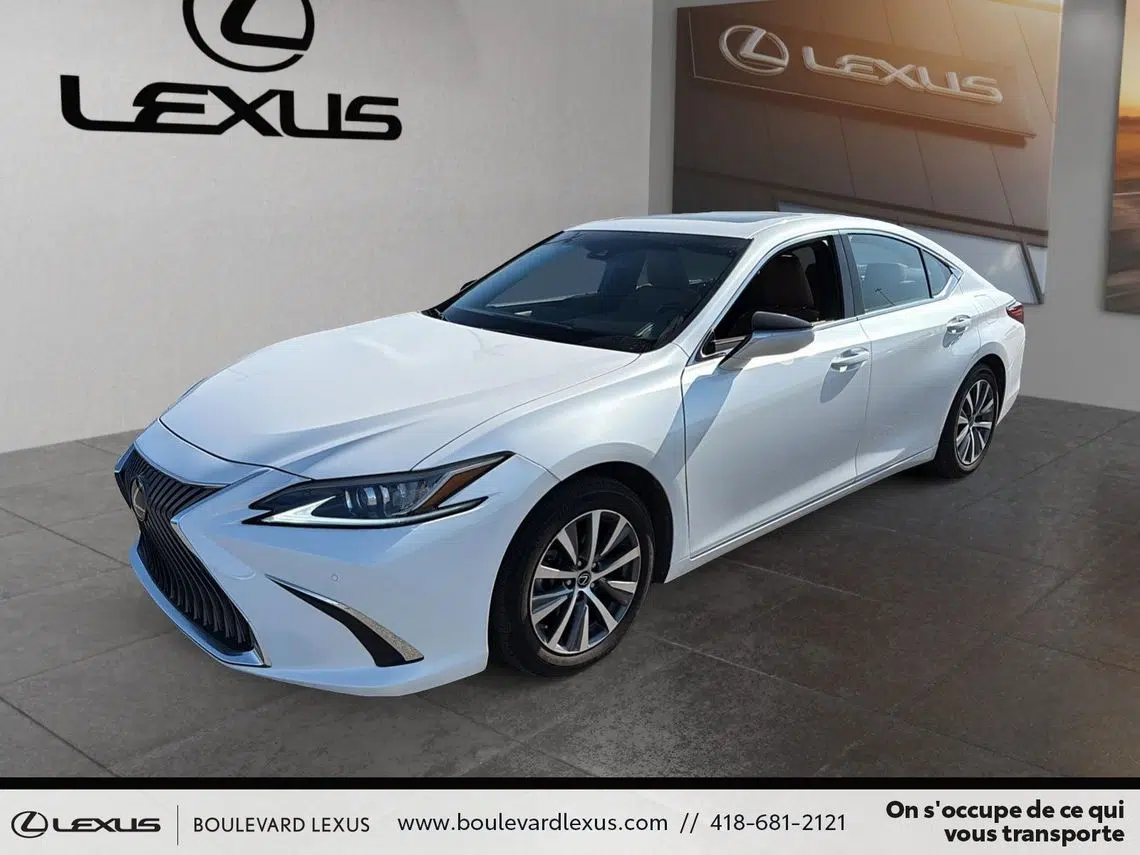 large_front_a59e8737_c2f6_49df_a593_a7acdedc4a3b_cc574c6950