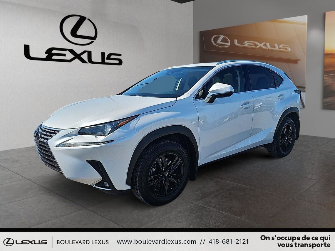 IMAGE: large_front_06b7ae60_2f40_47a1_9da9_31a6ee2261b8_60bdf74715.jpeg