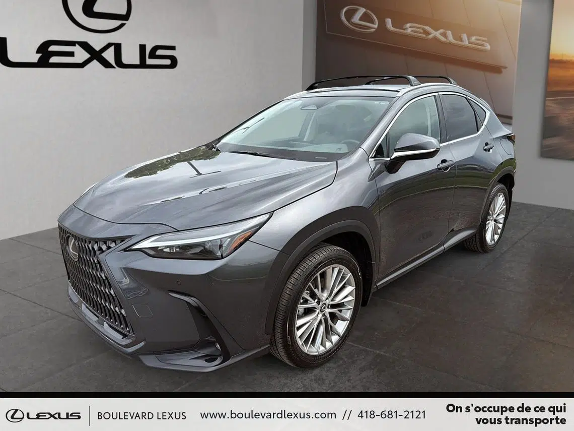 large_front_a44f19a4_bf94_48e9_8530_8d04c5e40367_558832405b